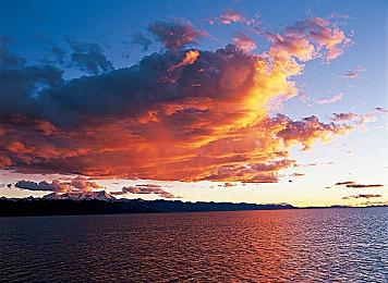 《宝可梦传说 Z-A》新MEGA公布 摔角鹰人强化参战